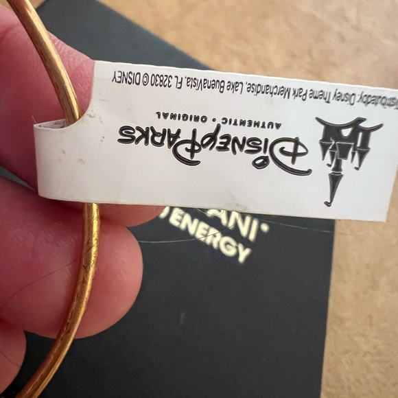 Alex and Ani Disney bracelet ✨ - Picture 5 of 6